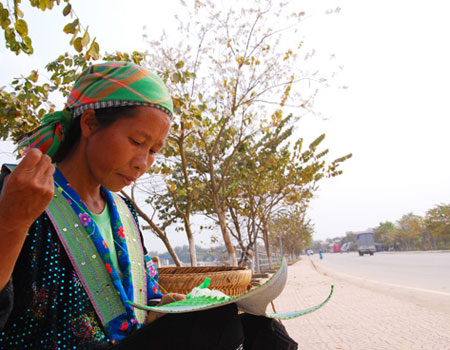 Điện Biên Điện Biên